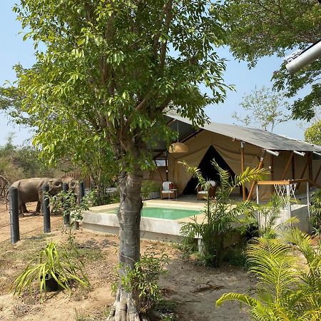 Elephant View Camp Ban Huai Thawai Esterno foto