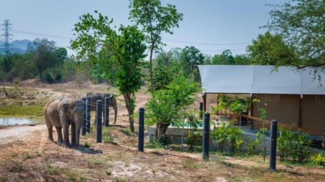 Elephant View Camp Ban Huai Thawai Esterno foto