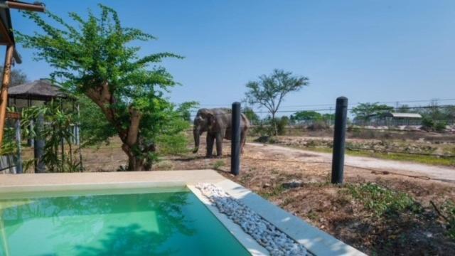 Elephant View Camp Ban Huai Thawai Esterno foto
